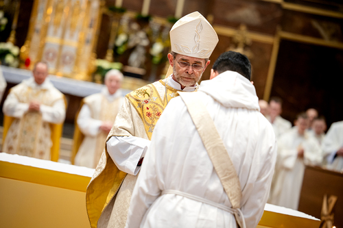 Priesterweihe Ambruster / Erzdiözese Wien/Schönlaub