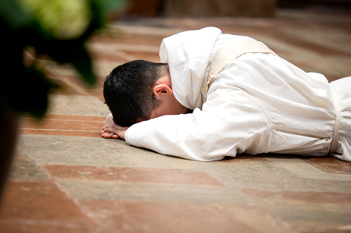 Priesterweihe Ambruster / Erzdiözese Wien/Schönlaub