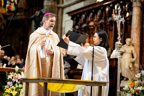 Erzdiözese Wien/Schönlaub