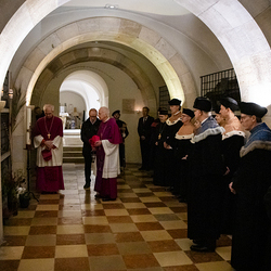 Erzdiözese Wien/ Schönlaub, Stephan Schönlaub