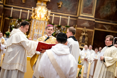Priesterweihe Ambruster / Erzdiözese Wien/Schönlaub